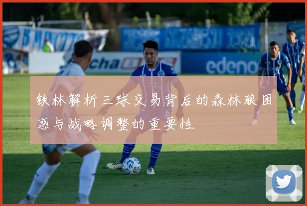 铁林解析三球交易背后的森林狼困惑与战略调整的重要性